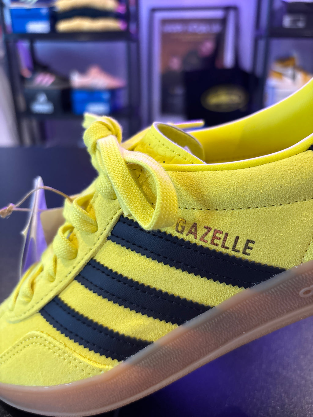 GAZELLE INDOOR YELLOW